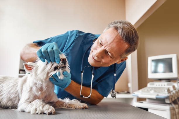 Best Emergency Dental Extractions in Alhambra, CA
